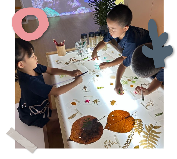 Lily Valley_Blog_Dec 2-05