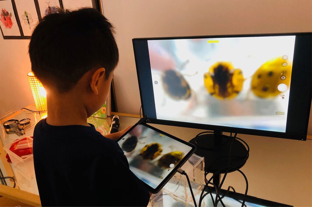 Lily Valley_Blog_Mar 1-Thumbnail