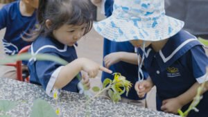 indoor_edible_garden